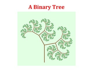 A Binary Tree 
 