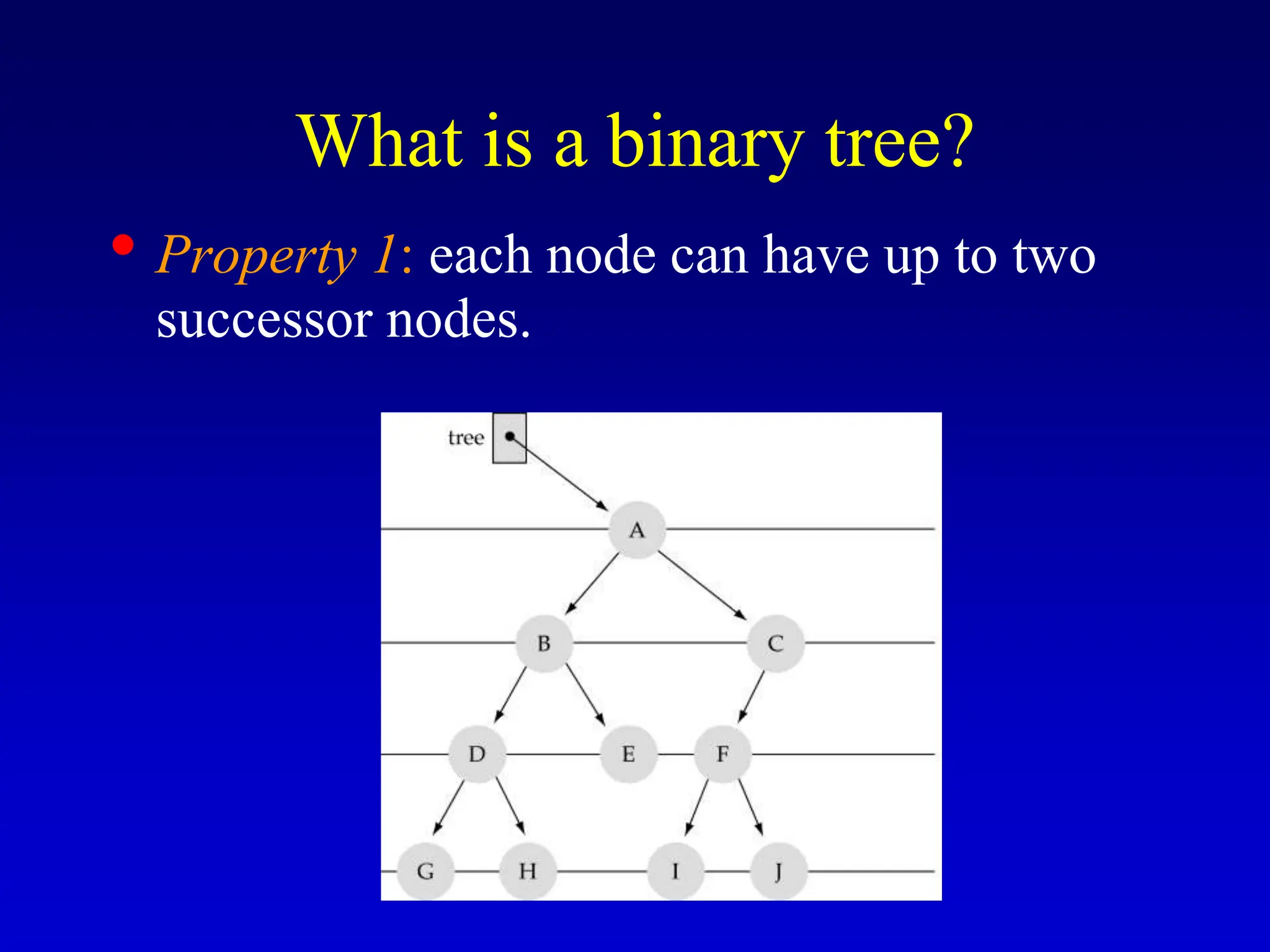 What is a binary tree? • Property 1: each node can have up to two successor nodes. 