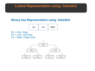Binary tree | PPT