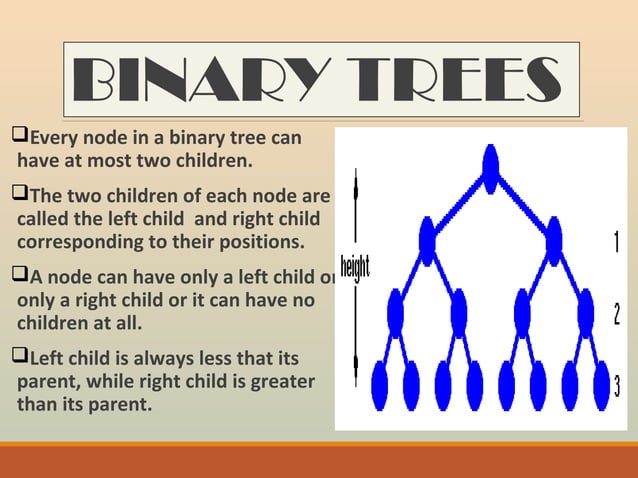 BINARY TREE | PPT