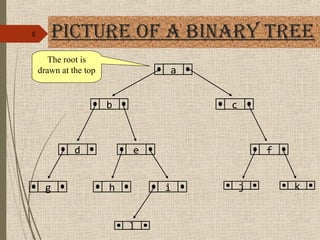 BINARY TREE | PPT