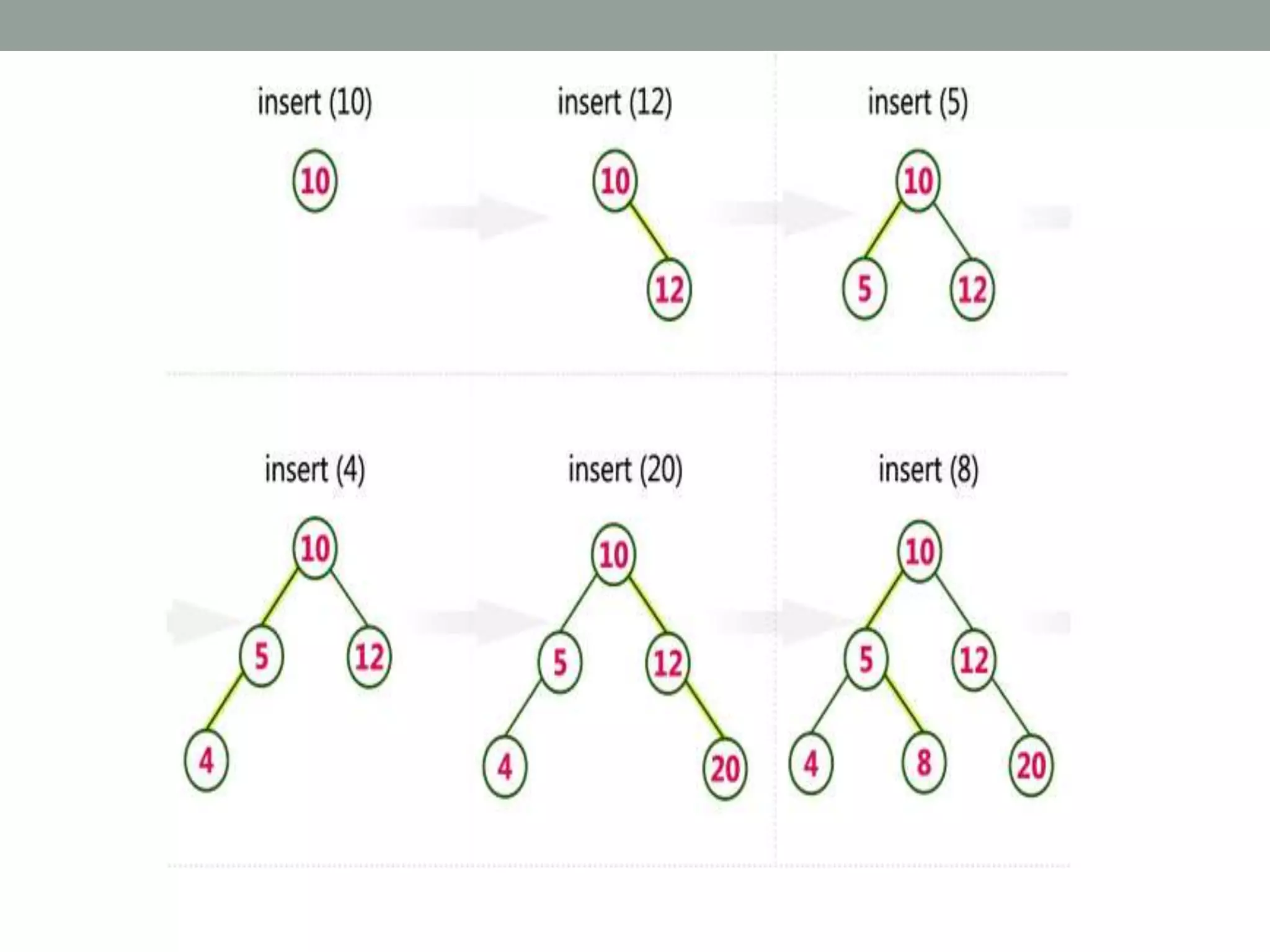 Binary tree | PPT