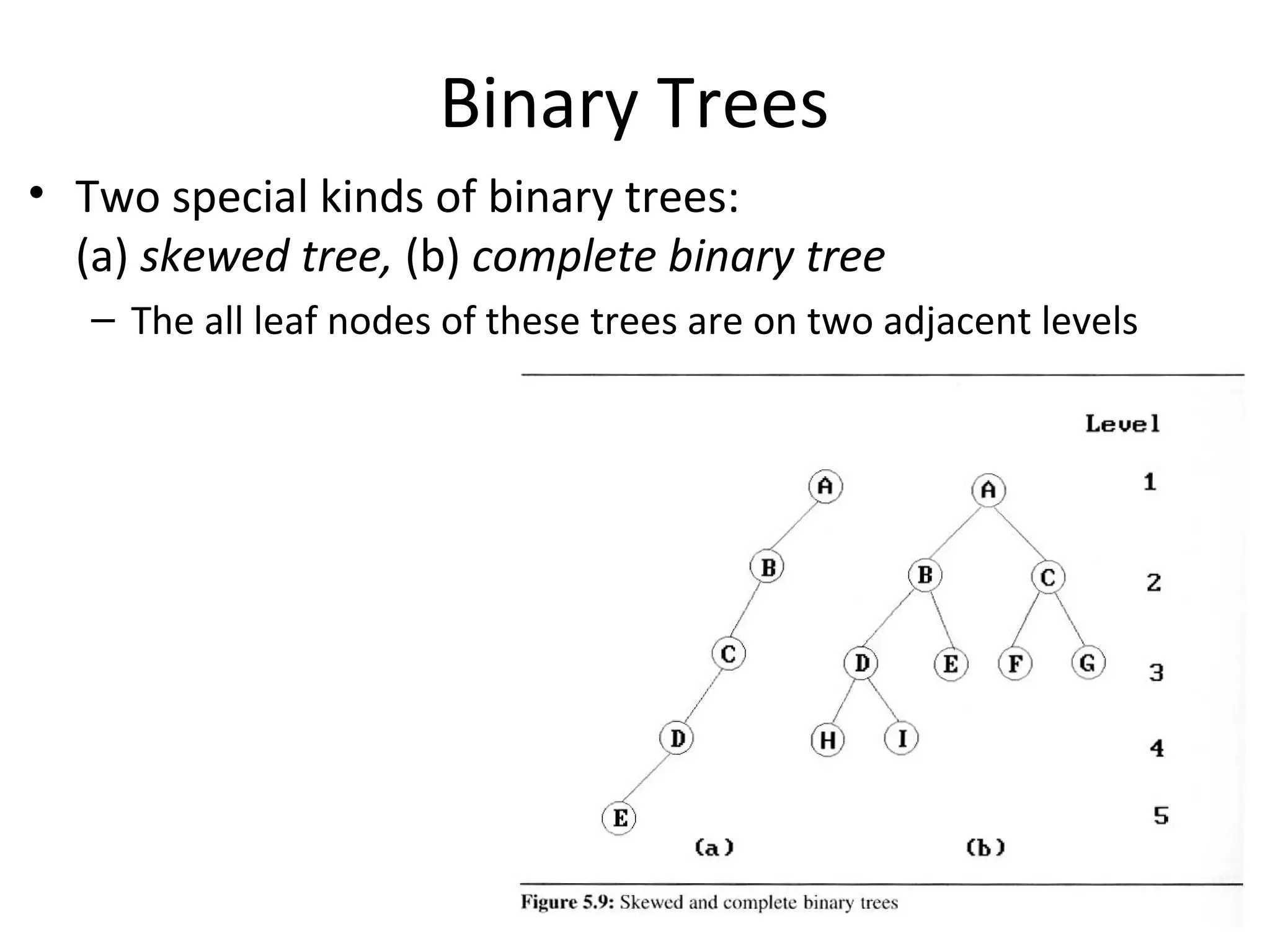 Binary Trees
• Two special kinds of binary trees:
(a) skewed tree, (b) complete binary tree
– The all leaf nodes of these trees are on two adjacent levels
 