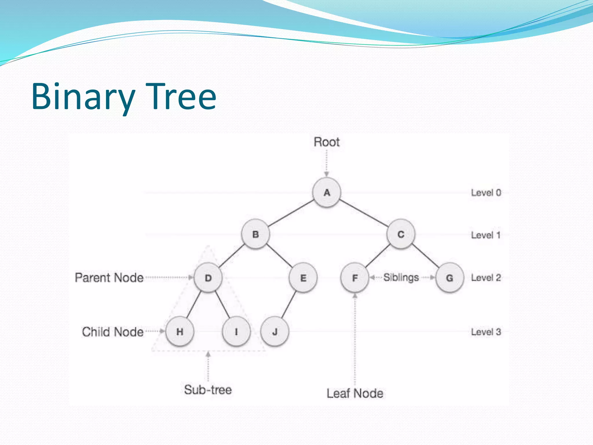 Binary Tree
 