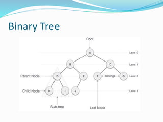 Binary tree in data structures | PPT | Programming Languages | Computing