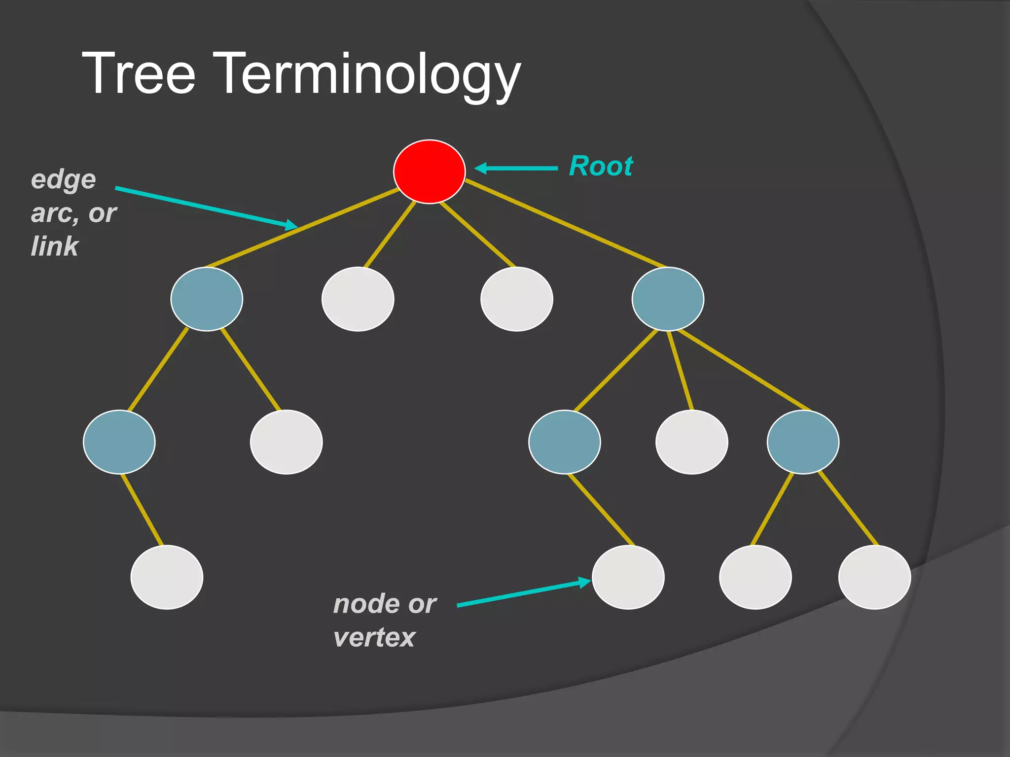 Tree Terminology
node or
vertex
Rootedge
arc, or
link
 