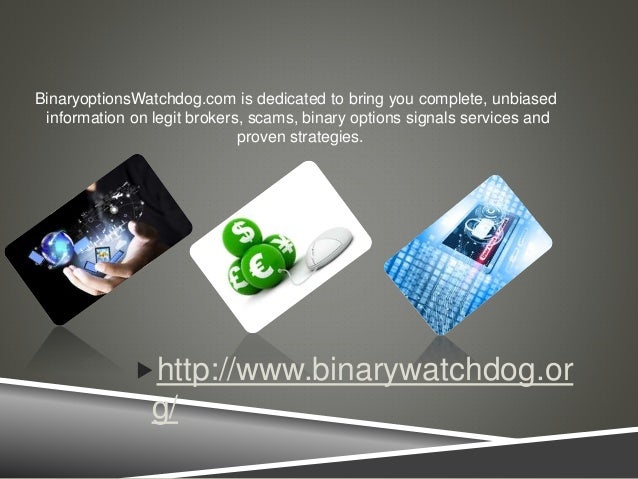 binary options watchdog cash camp