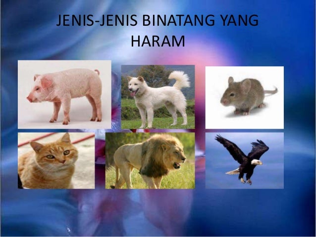  Binatang  halal dan haram 