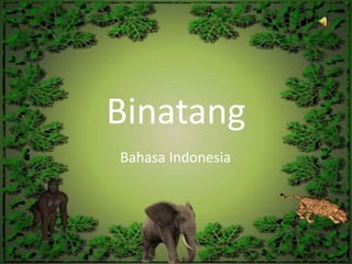 Binatang  Bahasa Indonesia  