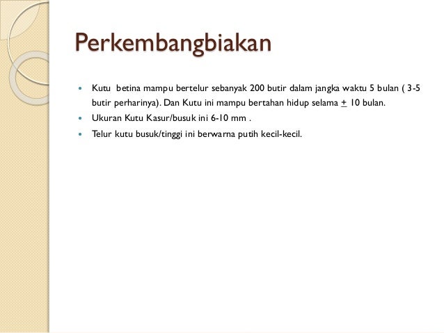 Binatang Tinggi