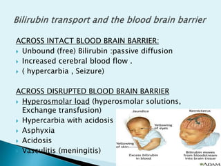 ACROSS INTACT BLOOD BRAIN BARRIER:
 Unbound (free) Bilirubin :passive diffusion
 Increased cerebral blood flow .
 ( hypercarbia , Seizure)
ACROSS DISRUPTED BLOOD BRAIN BARRIER
 Hyperosmolar load (hyperosmolar solutions,
Exchange transfusion)
 Hypercarbia with acidosis
 Asphyxia
 Acidosis
 Vasculitis (meningitis)
 