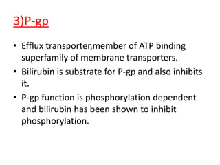 3)P-gp
• Efflux transporter,member of ATP binding
superfamily of membrane transporters.
• Bilirubin is substrate for P-gp and also inhibits
it.
• P-gp function is phosphorylation dependent
and bilirubin has been shown to inhibit
phosphorylation.
 