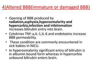 4)Altered BBB(immature or damaged BBB)
• Opening of BBB produced by
radiation,asphyxia,hyperosmalarity and
hypercarbia,infection and infalmmation
increases bilirubin entry into brain.
• Cytokines TNF-a,IL-1,IL-6 and endotoxins increase
BBB permeability.
• These condition are commonly encountered in
sick babies in NICU.
• In hyperosmalarity significant entry of bilirubin is
in albumin bound form whereas in hypercarbia
unbound bilirubin enters brain.
 