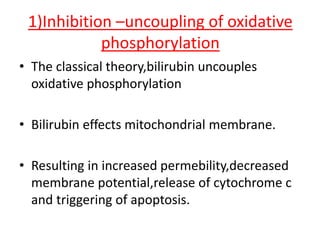 1)Inhibition –uncoupling of oxidative
phosphorylation
• The classical theory,bilirubin uncouples
oxidative phosphorylation
• Bilirubin effects mitochondrial membrane.
• Resulting in increased permebility,decreased
membrane potential,release of cytochrome c
and triggering of apoptosis.
 