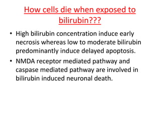 How cells die when exposed to
bilirubin???
• High bilirubin concentration induce early
necrosis whereas low to moderate bilirubin
predominantly induce delayed apoptosis.
• NMDA receptor mediated pathway and
caspase mediated pathway are involved in
bilirubin induced neuronal death.
 