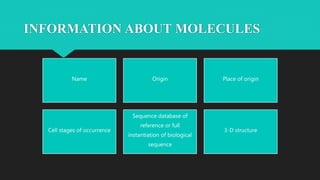 INFORMATION ABOUT MOLECULES
Name Origin Place of origin
Cell stages of occurrence
Sequence database of
reference or full
instantiation of biological
sequence
3-D structure
 