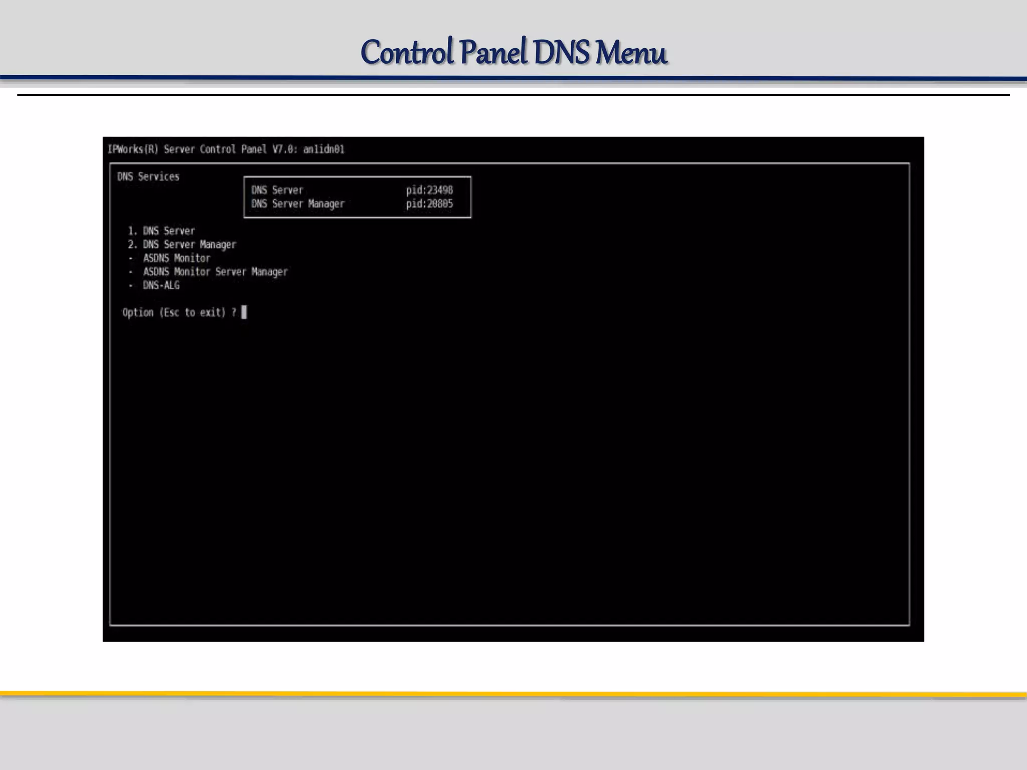 Control Panel DNS Menu
 