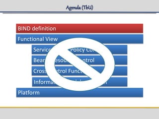 Agenda(TbU)
BIND definition
Functional View
Information Model and O&M
Service Aware Policy Control
Bearer Resource Control
Cross Control Functions
Platform
 