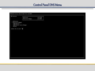 Control Panel DNS Menu
 