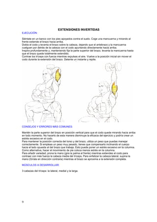 EXTENSIONES INVERTIDAS
EJECUCIÓN:

Siéntate en un banco con los pies apoyados contra el suelo. Coge una mancuerna y mirando al
frente extiende el brazo hacia arriba.
Dobla el codo y levanta el brazo sobre la cabeza, dejando que el antebrazo y la mancuerna
cuelguen por detrás de la cabeza con el codo apuntando directamente hacia arriba.
Inspira profundamente y, manteniendo fija la parte superior del brazo, levanta la mancuerna hasta
que el brazo quede totalmente extendido.
Contrae los tríceps con fuerza mientras expulsas el aire. Vuelve a la posición inicial sin mover el
codo durante la extensión del brazo. Detente un instante y repite.




CONSEJOS Y ERRORES MÁS COMUNES:

Mantén la parte superior del brazo en posición vertical para que el codo quede mirando hacia arriba
en todo momento. No hacerlo de esta manera disminuye la eficacia del ejercicio y podría crear un
estrés excesivo en el codo.
Para mantener la posición correcta del torso y del brazo, utiliza un peso que puedas manejar
correctamente. Si empleas un peso muy pesado, tienes que compensarlo inclinando el cuerpo
hacia el lado opuesta al del brazo que trabaja. Esto puede poner un estrés excesivo en la columna.
Como alternativa, hacer el movimiento de pie coloca menos estrés en la columna.
Para añadir variedad, prona la mano (gira la palma al frente) mientras extiendes el codo para
contraer con más fuerza la cabeza media del tríceps. Para enfatizar la cabeza lateral, supina la
mano (Gírala en dirección contraria) mientras el brazo se aproxima a la extensión completa.

MÚSCULOS A DESARROLLAR:

3 cabezas del tríceps: la lateral, medial y la larga.




9
 