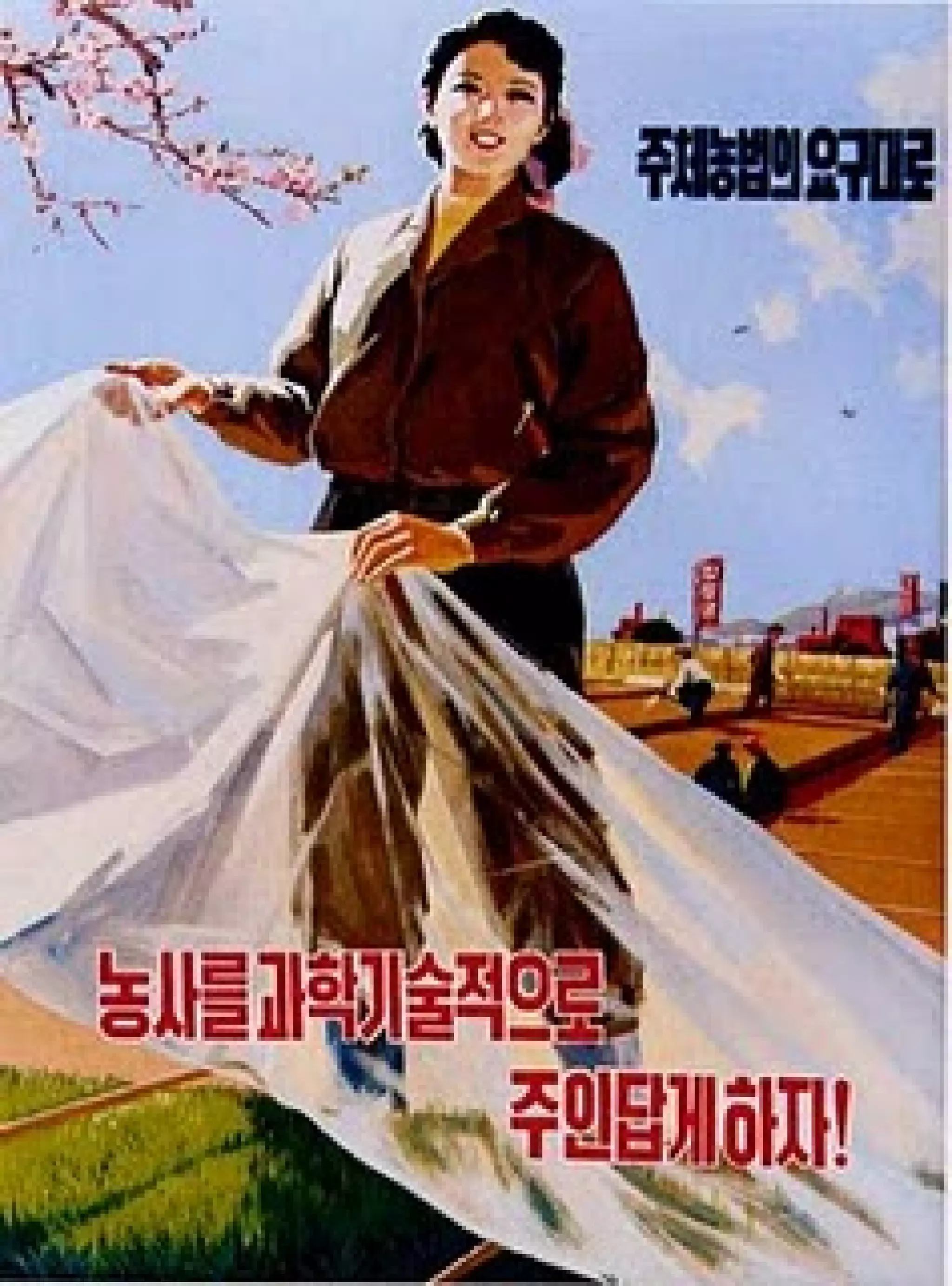 Aesthetics of Korean Propaganda