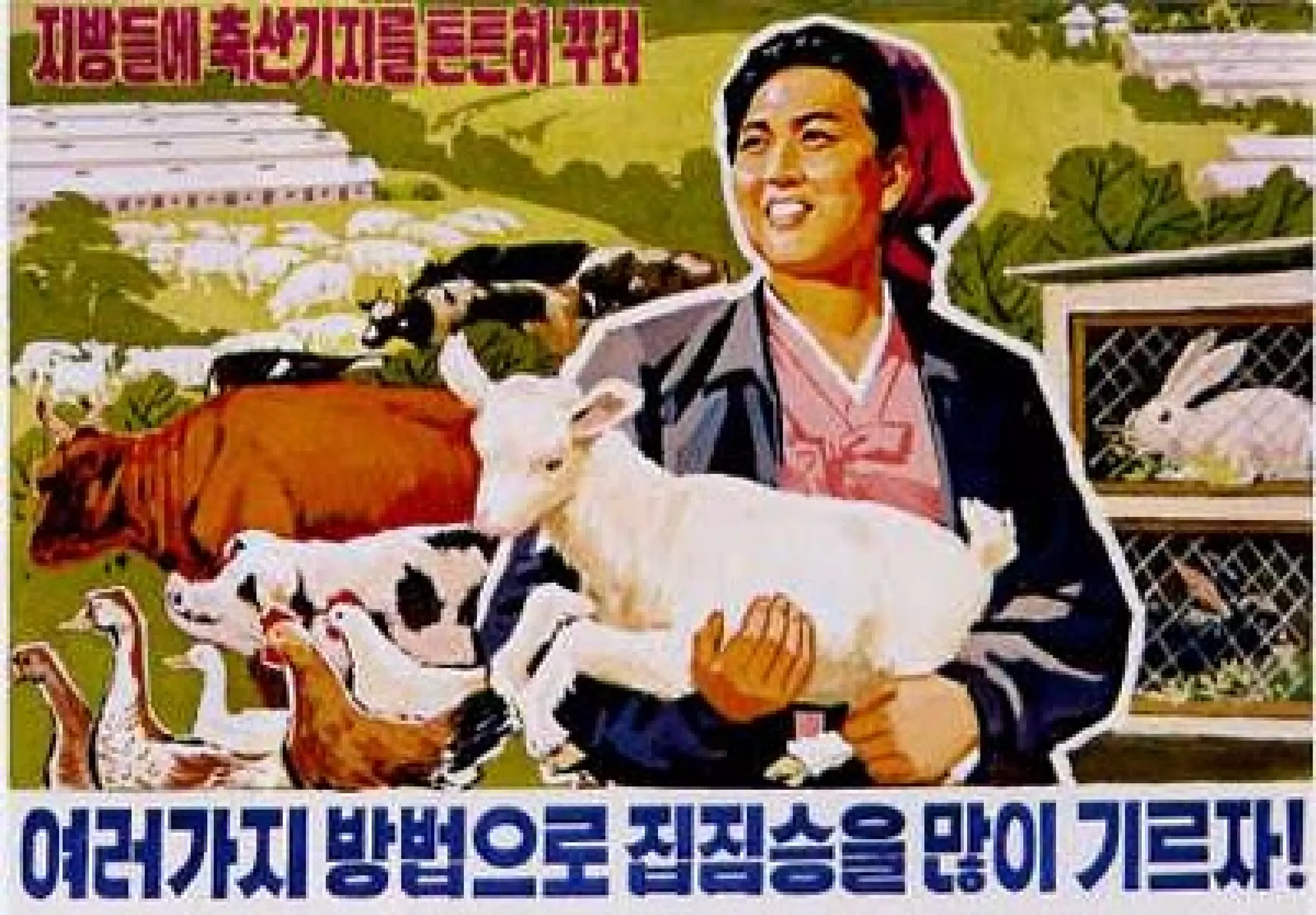 Aesthetics of Korean Propaganda