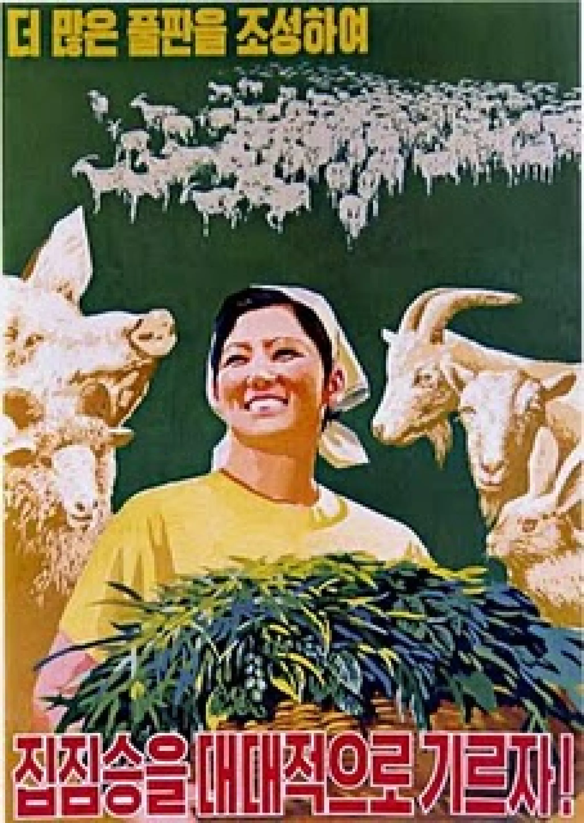 Aesthetics of Korean Propaganda