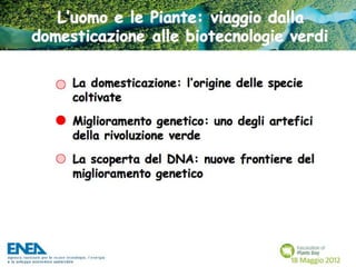 Fascination of Plants Day - 18 Maggio ENEA