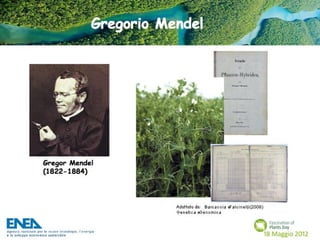 Fascination of Plants Day - 18 Maggio ENEA