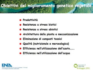 Fascination of Plants Day - 18 Maggio ENEA