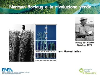 Fascination of Plants Day - 18 Maggio ENEA