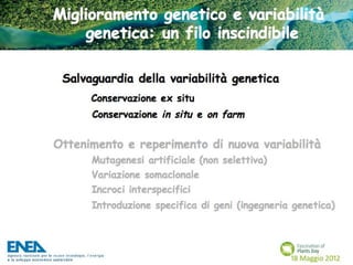 Fascination of Plants Day - 18 Maggio ENEA