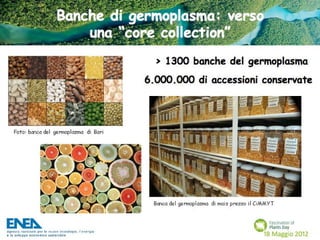 Fascination of Plants Day - 18 Maggio ENEA
