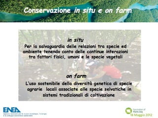 Fascination of Plants Day - 18 Maggio ENEA