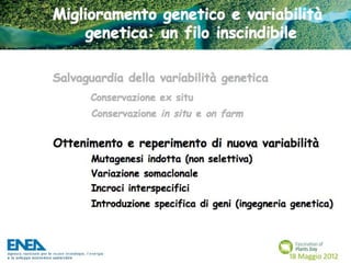 Fascination of Plants Day - 18 Maggio ENEA