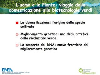 Fascination of Plants Day - 18 Maggio ENEA