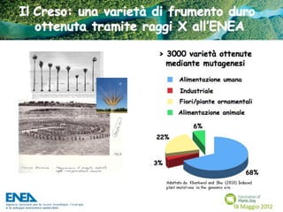 Fascination of Plants Day - 18 Maggio ENEA