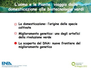 Fascination of Plants Day - 18 Maggio ENEA