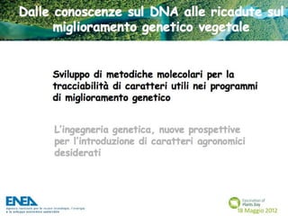 Fascination of Plants Day - 18 Maggio ENEA