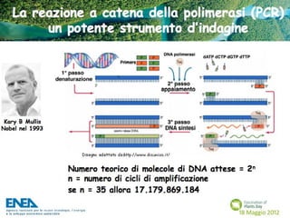 Fascination of Plants Day - 18 Maggio ENEA