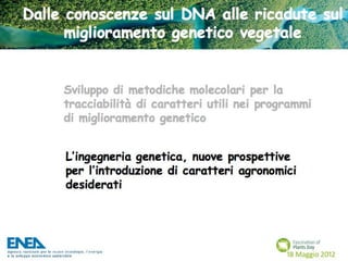 Fascination of Plants Day - 18 Maggio ENEA