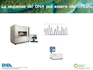 Fascination of Plants Day - 18 Maggio ENEA