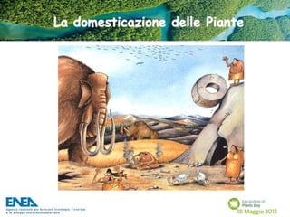 Fascination of Plants Day - 18 Maggio ENEA