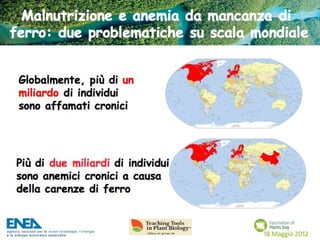 Fascination of Plants Day - 18 Maggio ENEA