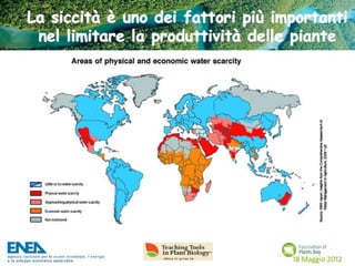 Fascination of Plants Day - 18 Maggio ENEA