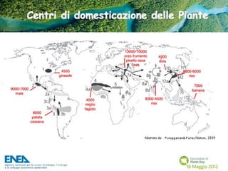 Fascination of Plants Day - 18 Maggio ENEA