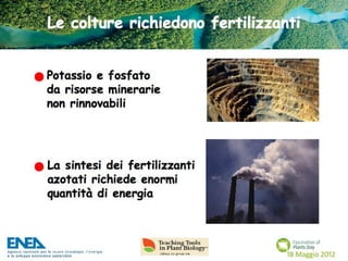 Fascination of Plants Day - 18 Maggio ENEA