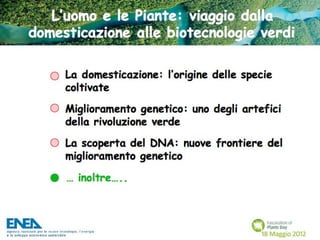 Fascination of Plants Day - 18 Maggio ENEA