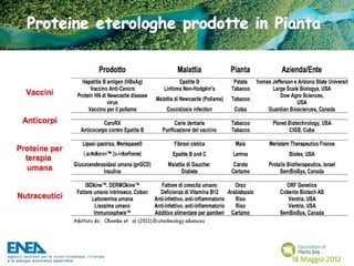 Fascination of Plants Day - 18 Maggio ENEA