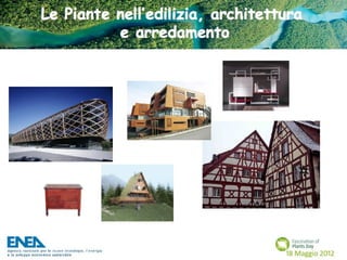 Fascination of Plants Day - 18 Maggio ENEA